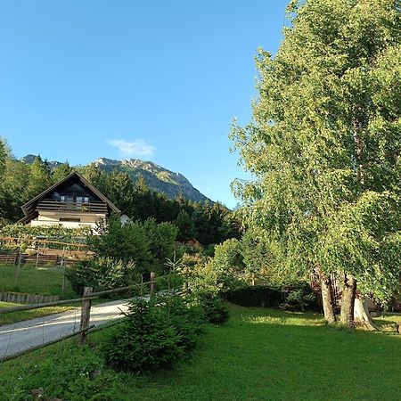 Kralj Matjaz - The Green Escape Under Alps Golnik Zewnętrze zdjęcie